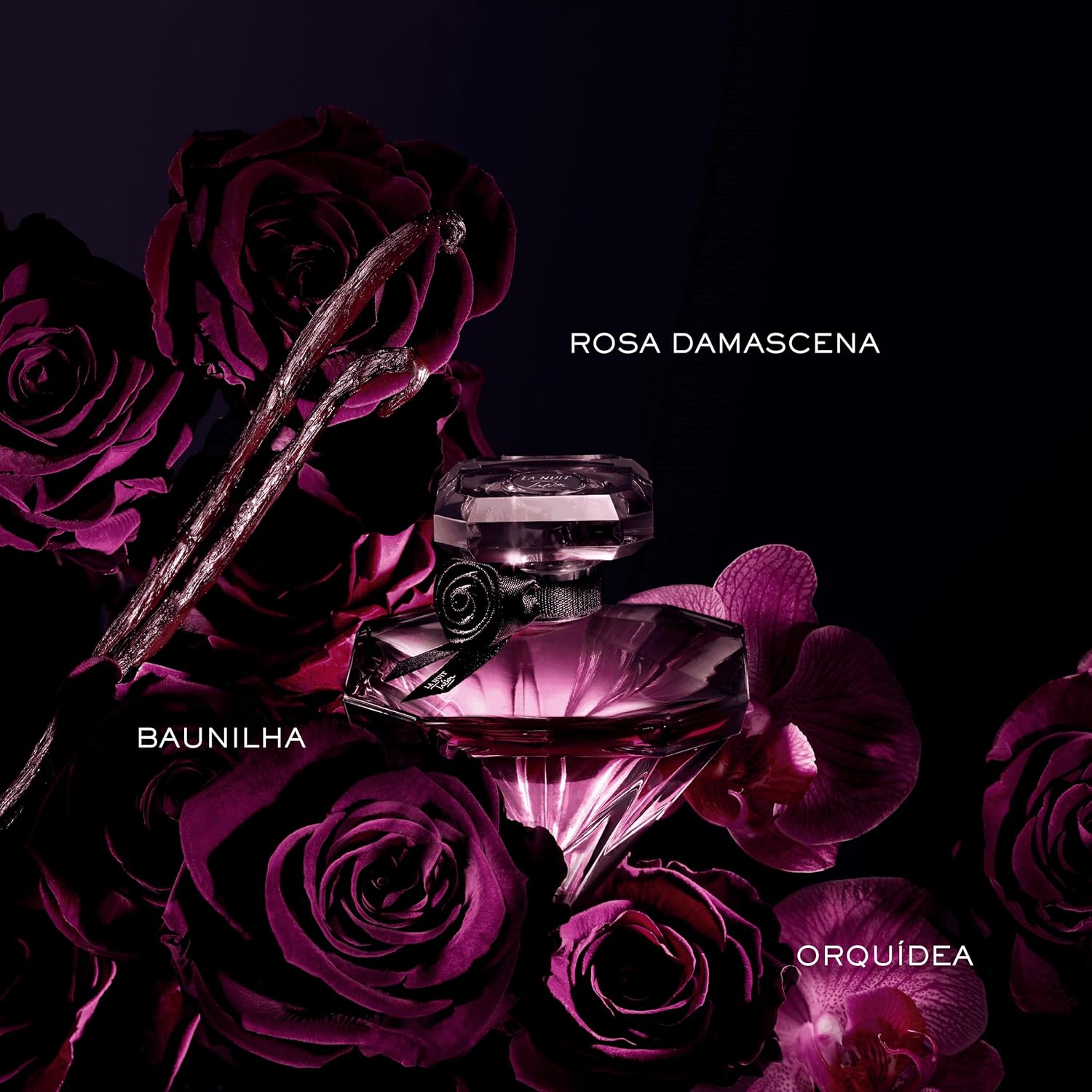 La Nuit Trésor Lancôme - Perfume Feminino - Eau de Parfum 75ml — foto 4